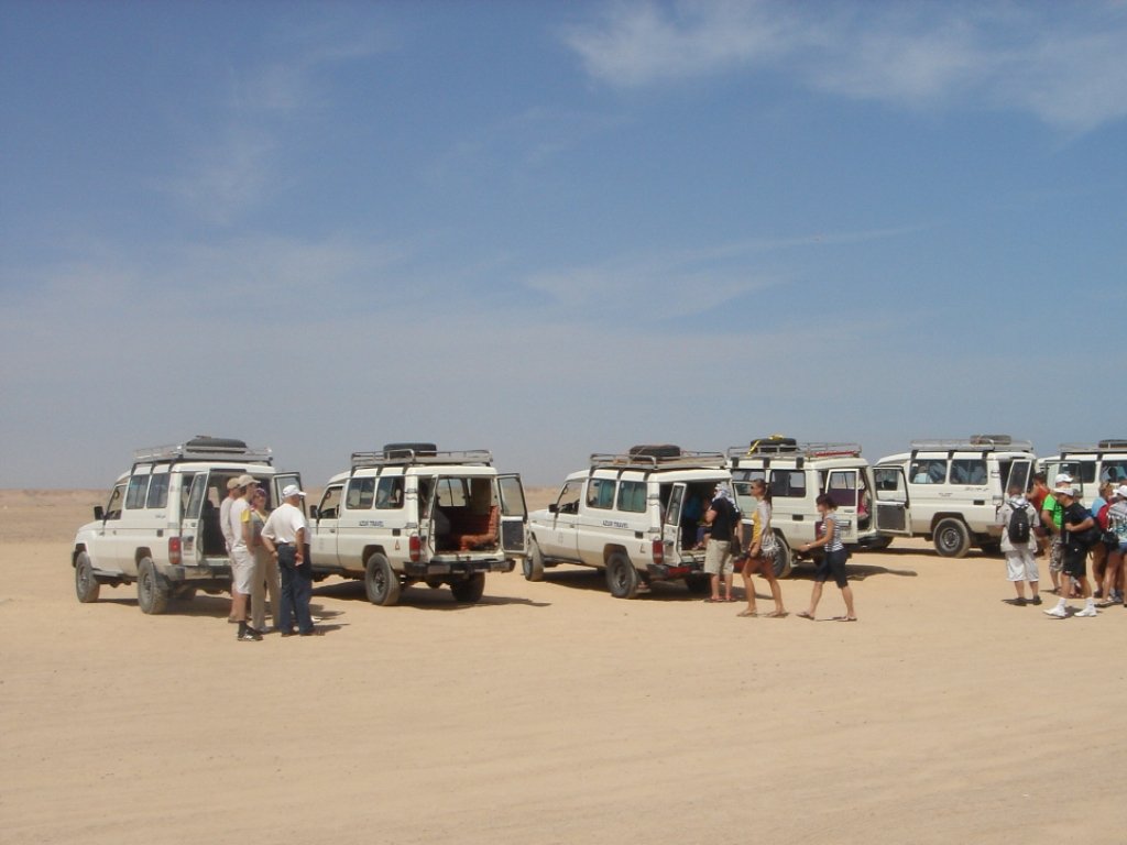 Safari Trips