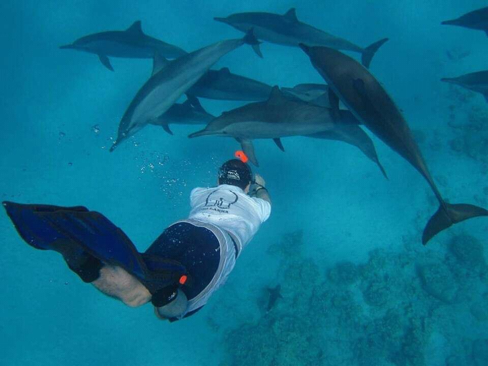Sea Trips